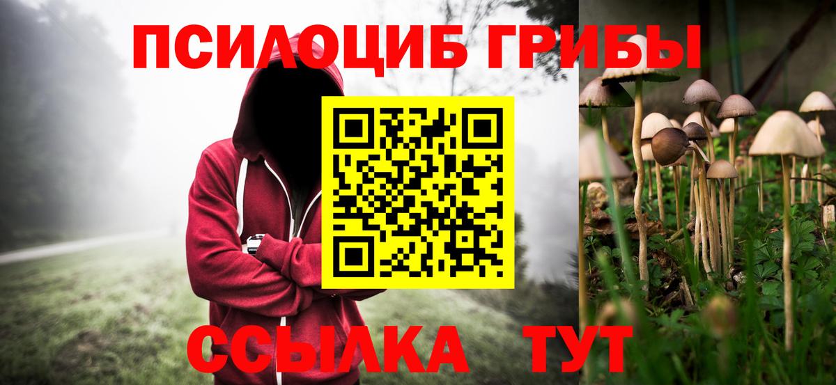 Губаха  Псилоцибиновые грибы мухоморы  Вход с VPN  Галлюциногенные грибы Psilocybine cubensis 